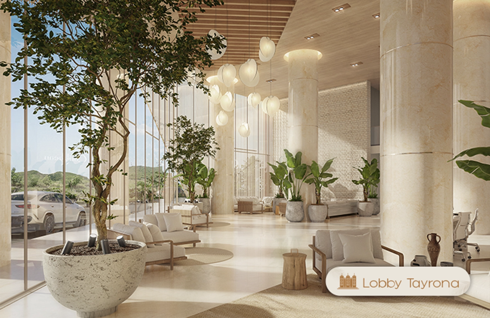 lobbytayrona